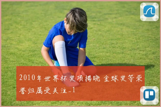 2010年世界杯奖项揭晓 金球奖等荣誉归属受关注_1
