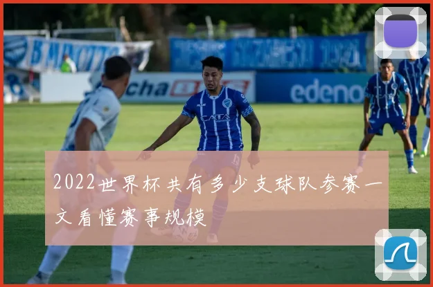2022世界杯共有多少支球队参赛一文看懂赛事规模