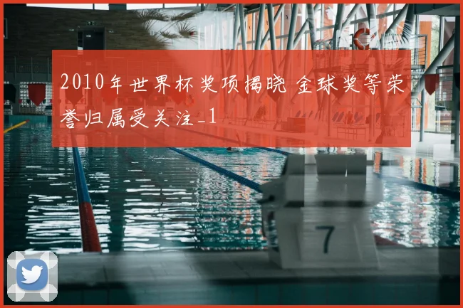 2010年世界杯奖项揭晓 金球奖等荣誉归属受关注_1