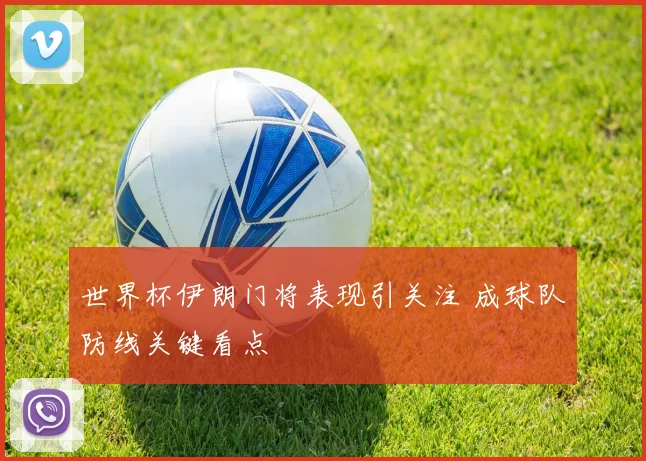 世界杯伊朗门将表现引关注 成球队防线关键看点